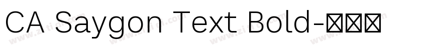 CA Saygon Text Bold字体转换